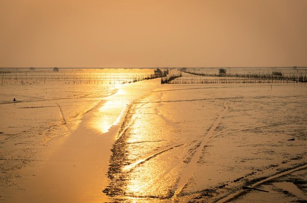 Découvrez le camping l'europe au cœur du puy de dôme !