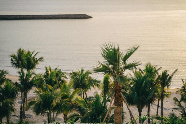 Séjournez au gites Le Relay de la Source : Évasion garantie !