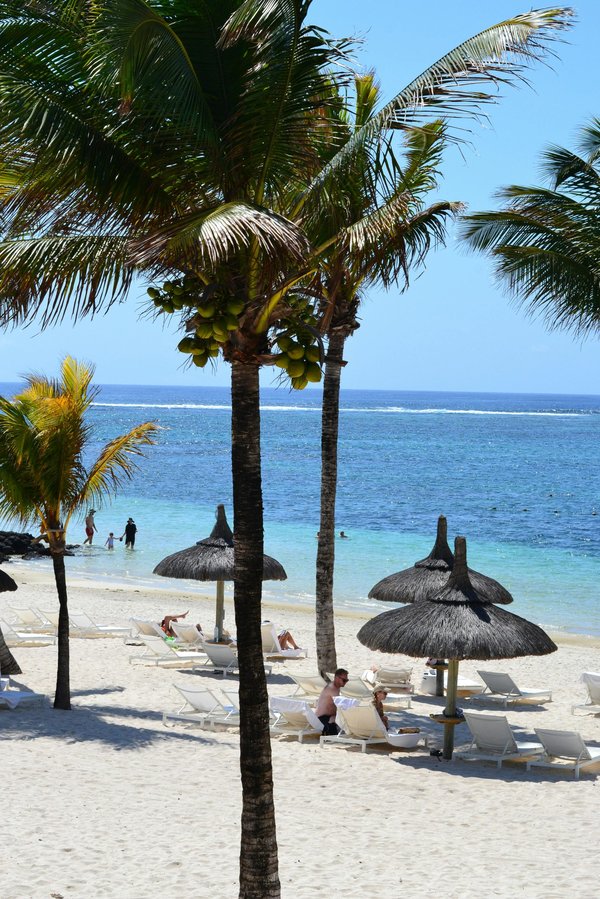Idées d'activités familiales pour un séjour à l'île maurice